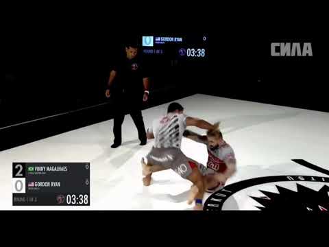 vinny x Gordon Ryan 2