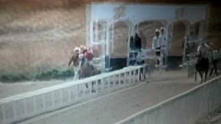 preview picture of video 'carreras de caballos en chihuahua 2009'