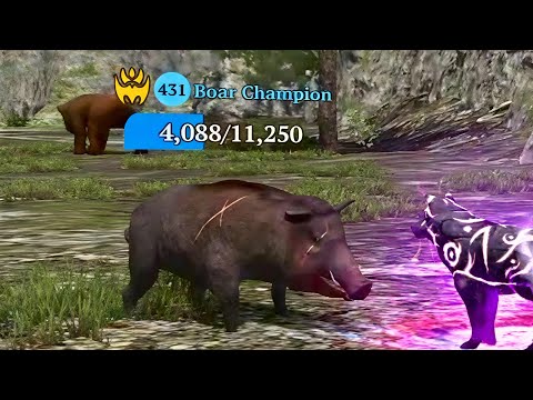 The Wolf - Boar Champion In Featured Green Hills 🏆