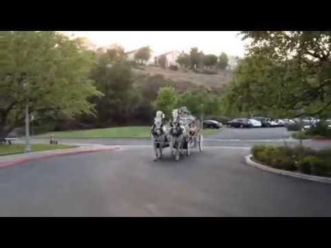 Promotional video thumbnail 2 for Cindy Cinderella Carriages