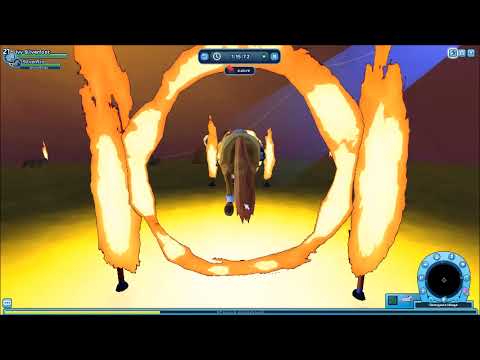 Wöchentliches Pferdelvln KW 24 2021