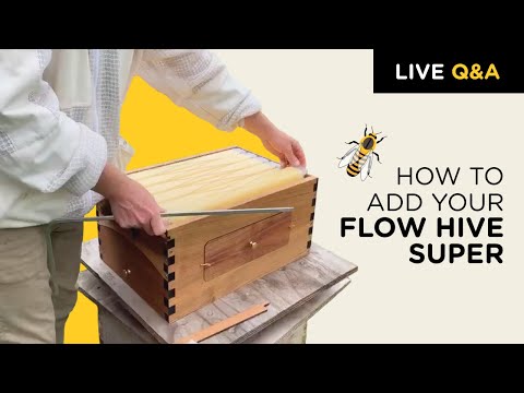 , title : 'Adding your Flow Hive super'