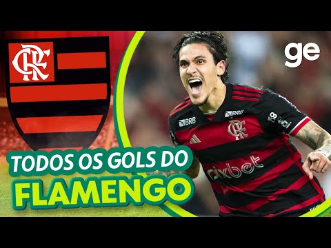 Watch all of Flamengo's goals in the Brasileirão in 2024