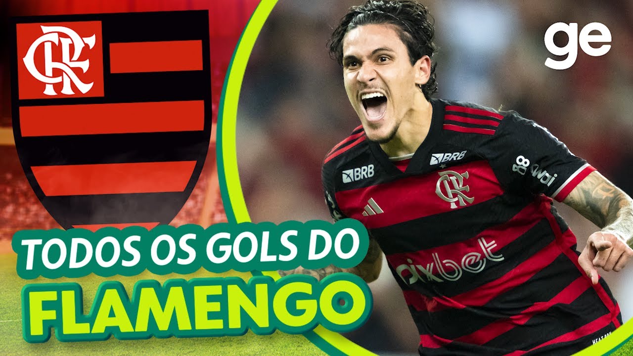 TODOS OS GOLS DO FLAMENGO NO BRASILEIRÃO 2024 | LISTAS | ge.globo