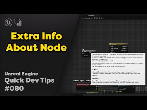 Quick Dev Tip #80 UE4 / UE5 - Extra Info About Node