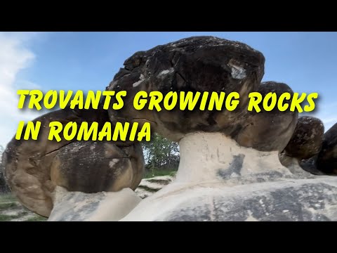 Growing Rocks or Living Rocks Mystery Trovanti from Buzau Romania