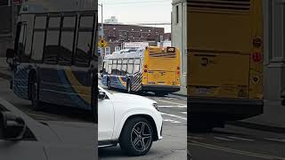 Download lagu Q29 and Q58 buses at Corona Avenue #automobile #koreancuisine #squidgame #seoulmetro mp3
