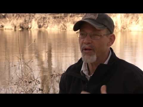 Field Notes: Duck Gun - How to Mount a Shotgun