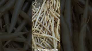 Premium EEL Fish Maw