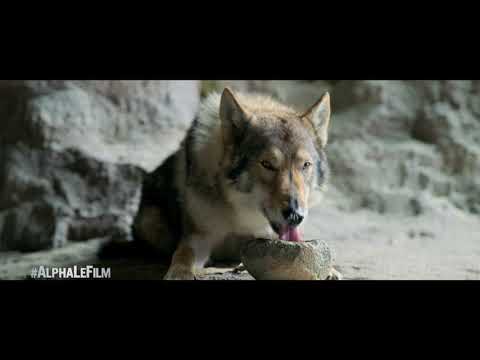 Alpha (TV Spot 'Famille')