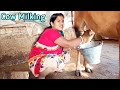 Deshi Cow Milking In Village Beautiful Wife Cow Milking By Hand New Video