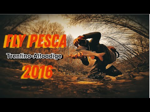 Fly Pesca 2016