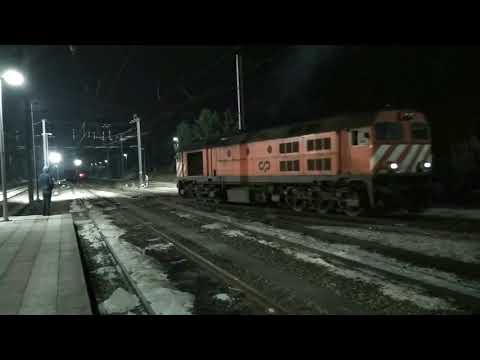 Comboio de madeira - 16fev19 - Louriçal