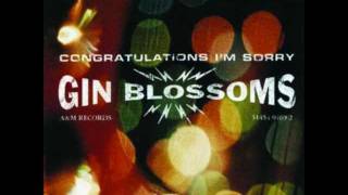 Gin Blossoms - Til I Hear It from You