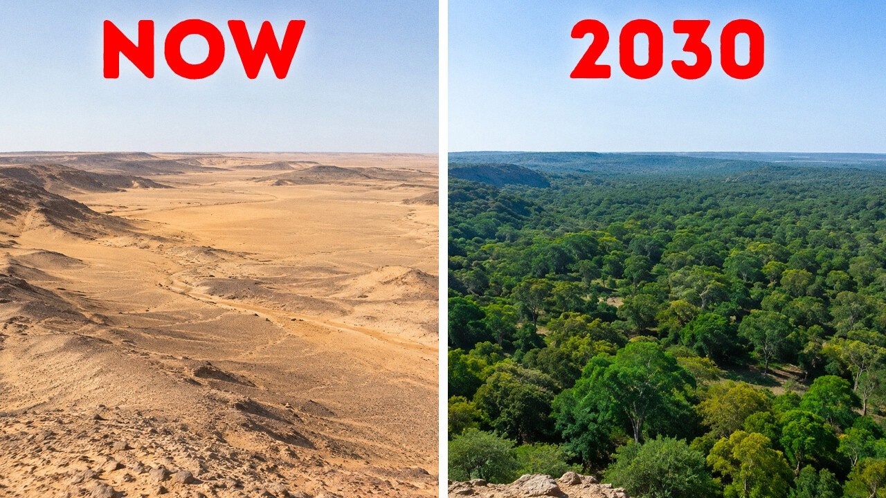 Africa Is Building a 5,000-Mile Wall to Stop the Sahara