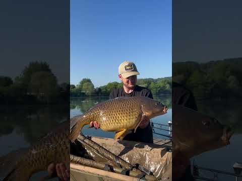 K1 lake #fishingprofi #fishing #carpfishing #angeln #angler