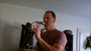 Der letzte Blick - Xavier Naidoo / Cover von Wolfgang