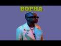 Felo Le Tee, Mellow & Sleazy - Bopha Ft DJ Maphorisa, Madumane, Young Stunna (tiktok Videos)