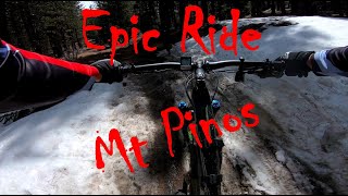 Epic Ride in Mt Pinos (Multiple views) 11 Apr 21