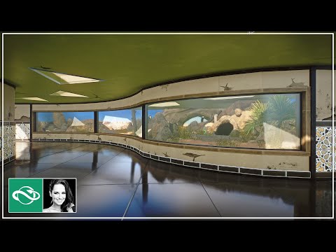 Starting a New Zoo from SCRATCH in Planet Zoo Franchise Mode