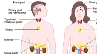 Role of hormones in initiating reproductive organ  class 8 science