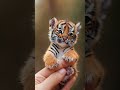 Adorable Baby Tiger Moments! 🐯 #tiger #animals #wildlife #cute #zoo #rare