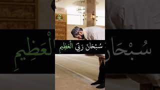 Download lagu Subhana Rabbiyal Azeem 😍😍  #religion #ytshorts #namaz mp3