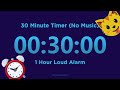 30 minute Timer Countdown (No Music) + 1 Hour Loud Alarm