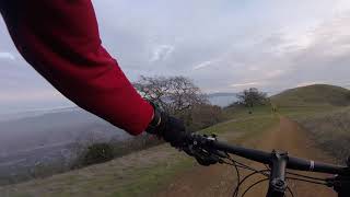 Pleasanton Ridge - Ridgeline trail 1/2 and black angus