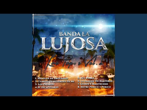 La Imagen De Malverde (En Vivo)