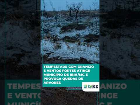 Tempestade com granizo e ventos fortes atinge município de Ibiá/MG e provoca quedas de árvores