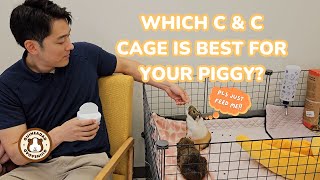 Guinea Pig C&C Cages: Which Cage is Best for Your Piggy