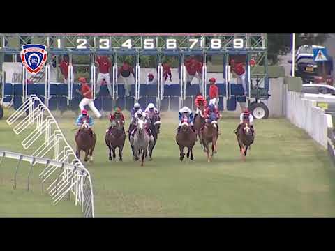 RM8 R8 | What A Fizz | O.Plaçais