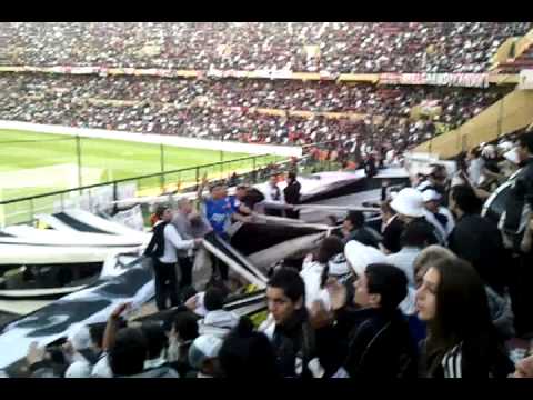 "De Corazón Yo Vengo A Verte (â™ª) + GOL de All Boys" Barra: La Peste Blanca &bull; Club: All Boys