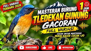 Download lagu MASTERAN TLEDEKAN GUNUNG GACORAN TERBARU 2026 🔥 FULL ISIAN VARIASI | SUARA TLEDEKAN GUNUNG mp3
