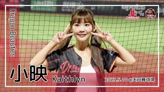 【台湾チア】小映 Kaithlyn / Dragon Beauties小龍女 / 2023.5.10 張政禹 應援曲 + 龍魂,龍袍使命 [中文歌詞]