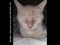 Tuxies Legacy Crew Update 01 07 2024