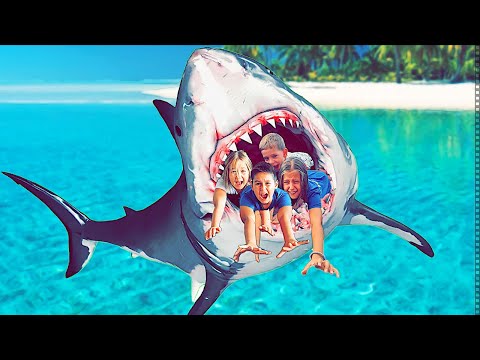 THE SHARK EAT US!
