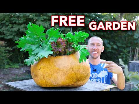 I Grew a FREE Garden in a GOURD!