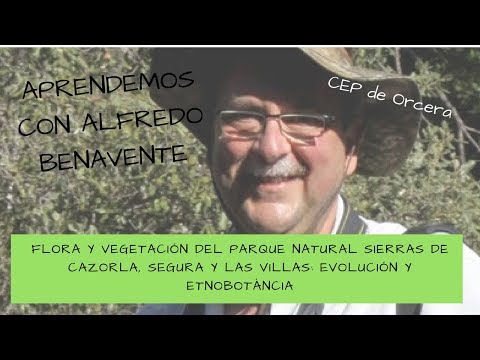 , title : 'Flora y vegetación del Parque Natural de Cazorla Segura y las Villas'