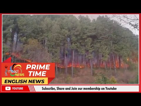 IMPACT NEWS ENGLISH BULLETIN   | 29 JAN 2026