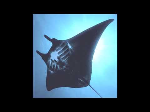 02. HNRK - Mantarochen [manta ray]