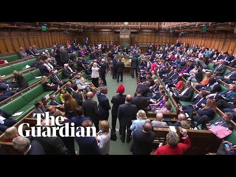 MPs vote to pass Brexit delay bill by majority of 29