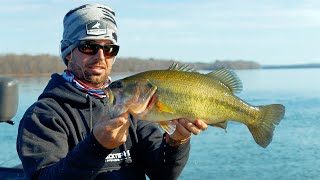 Caught 3 Species of Bass in ONE Day!