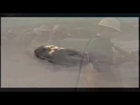 Dead Kennedys - Moon Over Marin