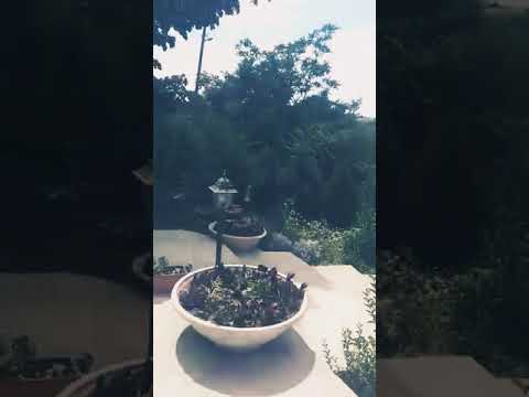 Ddy Diamond aka Dave aka Hadjito freestyle relax realist street balkan rap 2020