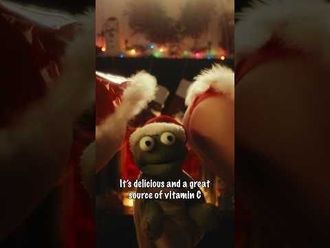 Cheetah and the Beast Reality boys didn’t have to go this hard for Christmas! 🎄 #merrychristmas