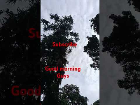 #subscribe #yutubeshorts