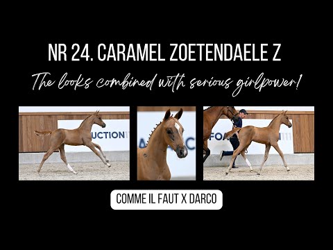 Internationaal presterende verwanten van Caramel Zoetendaele Z