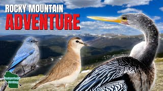 2 Days Exploring Colorado’s Best Birding Locations!